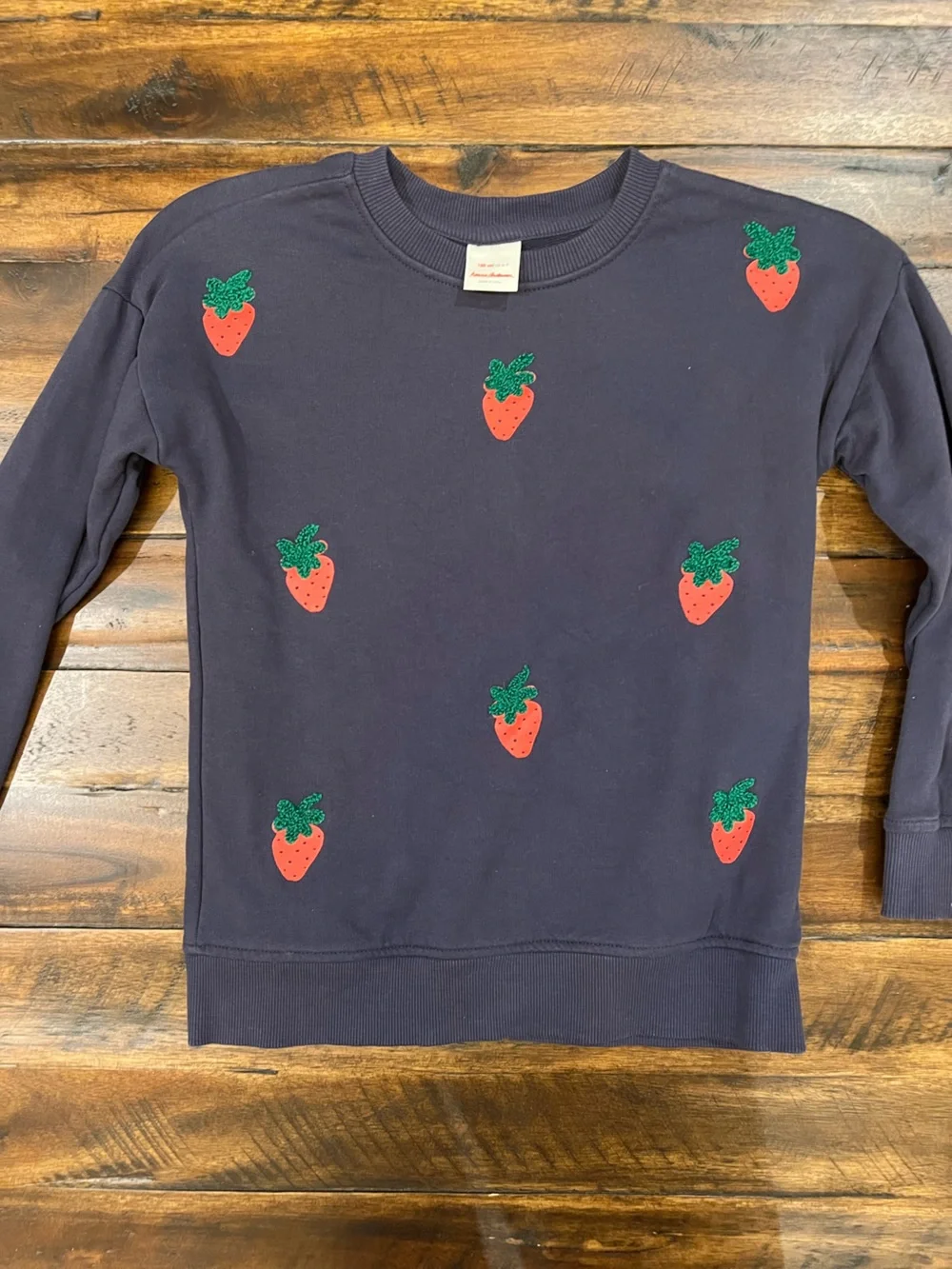 Hanna Andersson Navy Sweatshirt with Pink & Green Strawberry Appliqués
